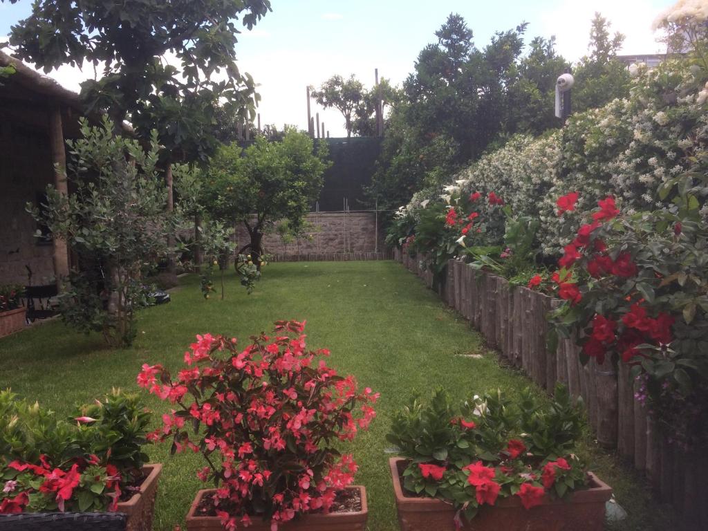 Giardino Sorrentino room 5